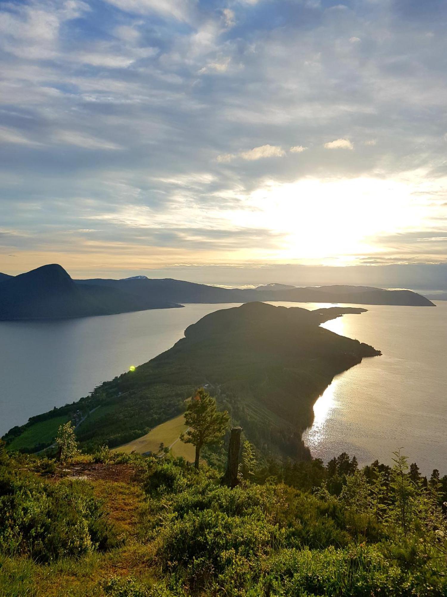 Fugelvagen, Cabins And Glamping Alvund 外观 照片